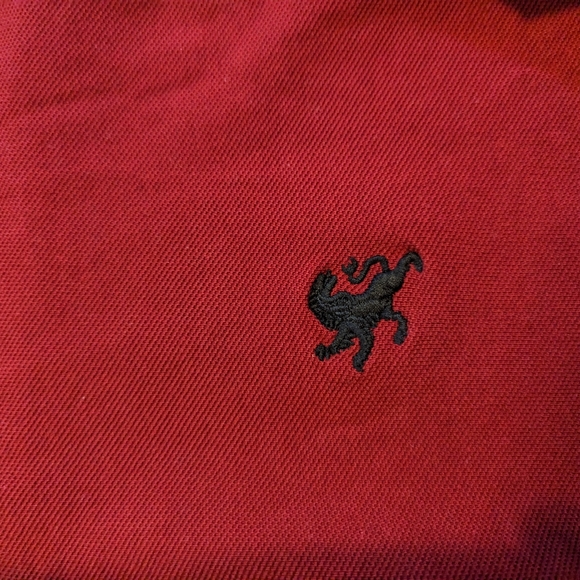 NWOT Express Polo - Picture 2 of 3